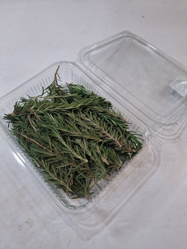 سبزی رزماری (Rosemary)