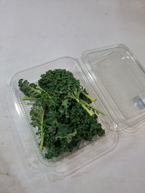 کِیل (Kale) یا کلمبرگ پیچدار