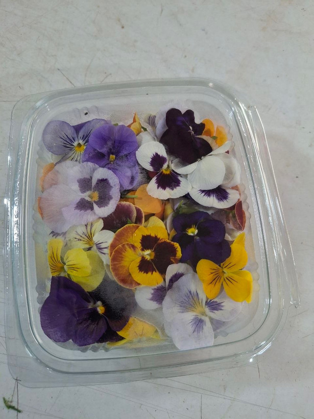گل بنفشه (Pansy) خوراکی