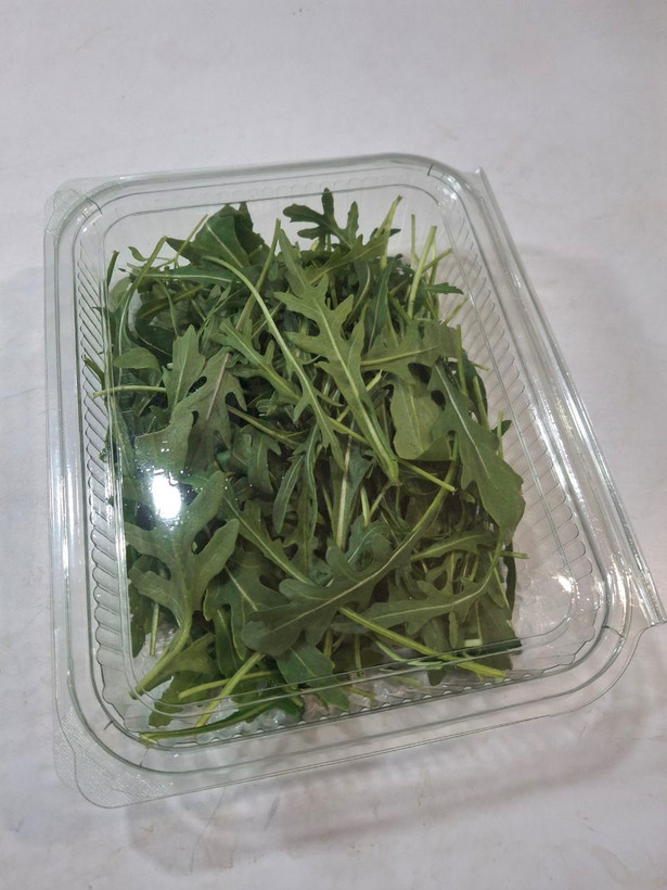 سبزی روکولا (آروگولا)
