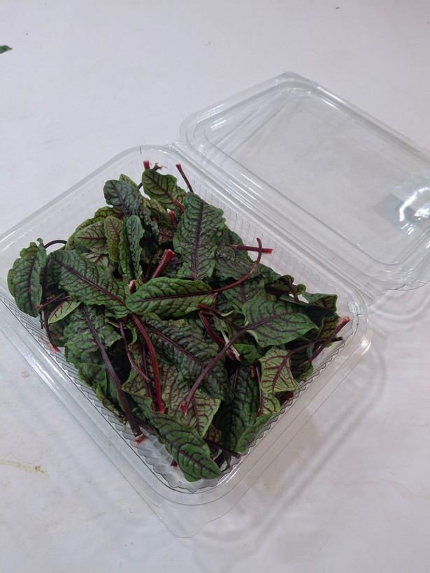 برگ چغندر رنگی (Swiss Chard)