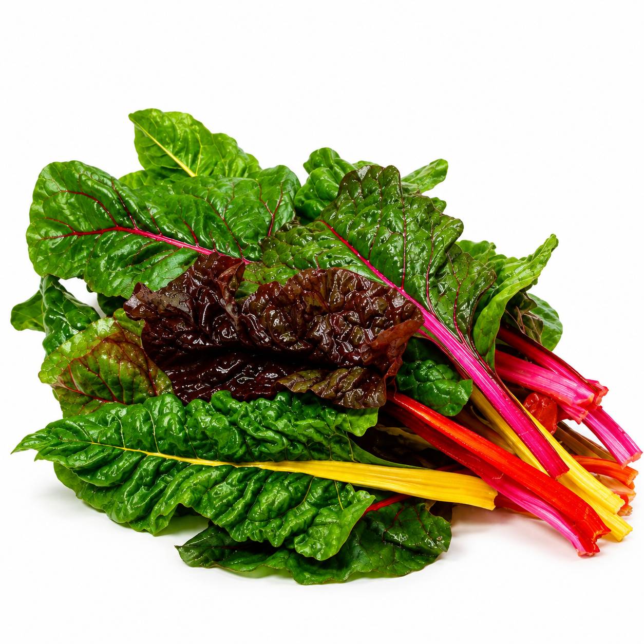 برگ چغندر رنگی (Swiss Chard)