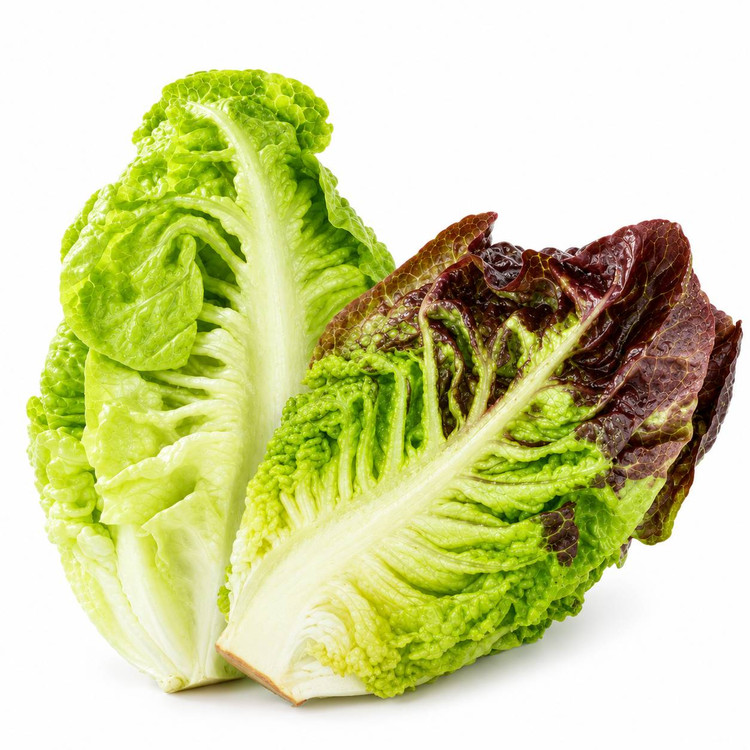 سبزی کاهو رومی (Romaine Lettuce)