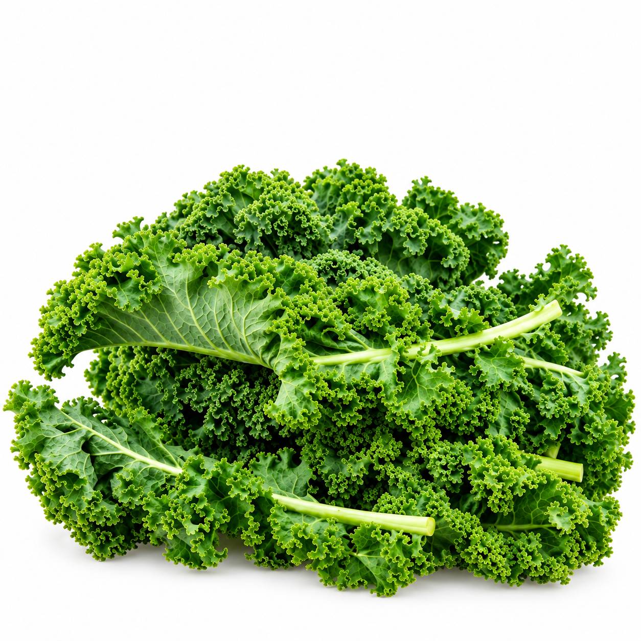 کِیل (Kale) یا کلم‌برگ پیچ‌دار