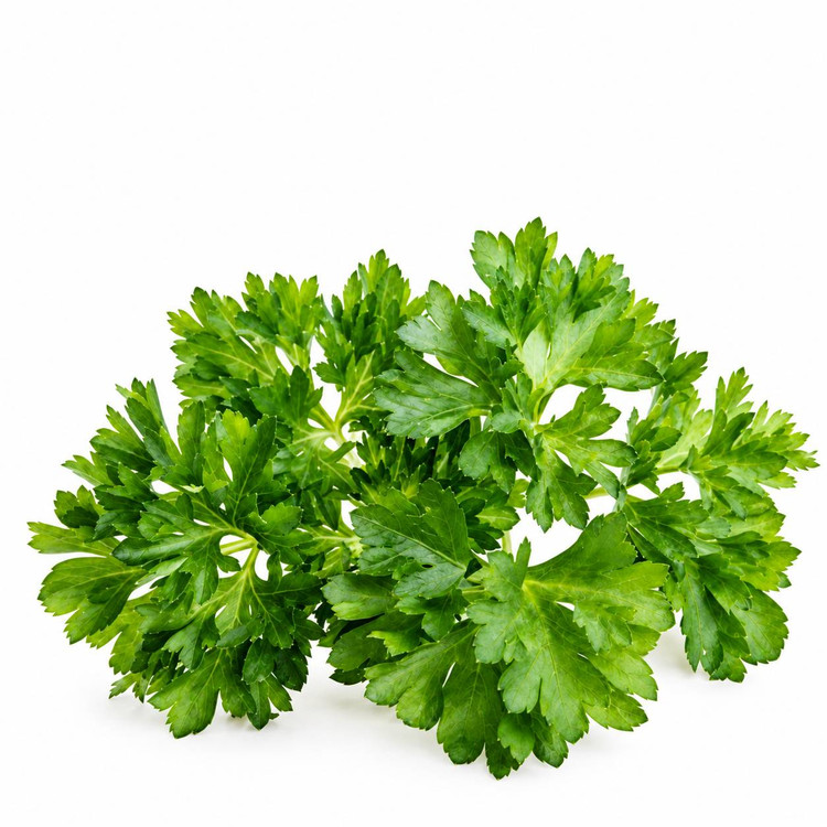 سبزی جعفری فری تازه